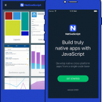 What Makes The Nativescript Special?