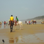 Your 24-Hour Guide To Digha