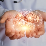 Brain Health And Memory