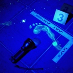 Unpacking Criminology