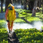 How to Control Pests