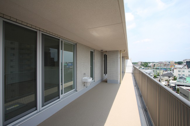 Window Sash Replacement