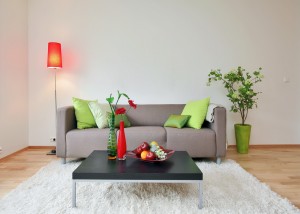 Creating a Healthy Home Environment2