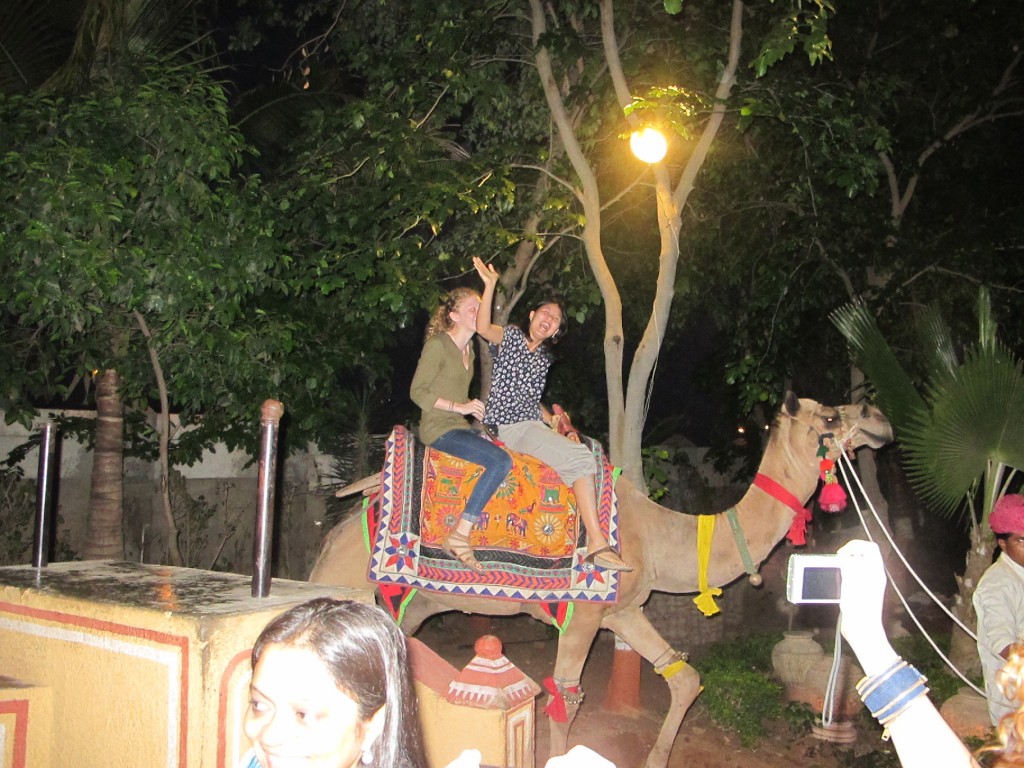 Camel Rides