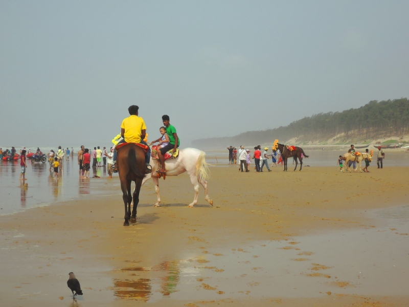 Your 24-Hour Guide To Digha